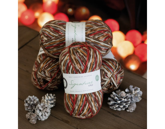 WYS Signature 4 ply sock yarn Christmas Robin 941