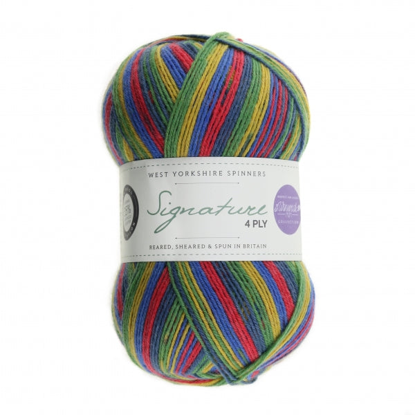 WYS Signature 4 ply yarn Brightside 874