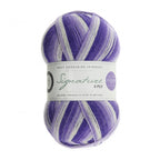 WYS Signature 4 ply yarn Hidden Gem 871 (D)