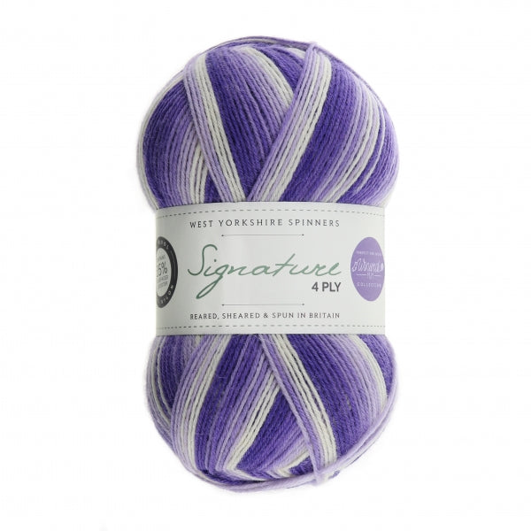 WYS Signature 4 ply yarn Hidden Gem 871 (D)