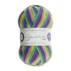 WYS Signature 4 ply yarn Wildflower 872