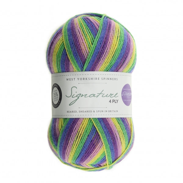 WYS Signature 4 ply yarn Wildflower 872