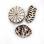 Wood Block Printing Set 4 : Anemone & Corals x 3 blocks