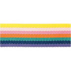 Woven Bag or Belt Strap 40mm 2m long Webbing  - Rainbow