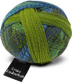 Zauberball Crazy 100g 2136
