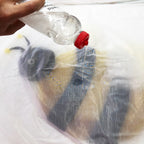 Brigadier Buzzington : COMPLETE Bee Picture Felting Kit