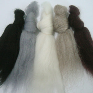 Blank Canvas Merino Wool Tops Inspiration Pack for Felting & Spinning