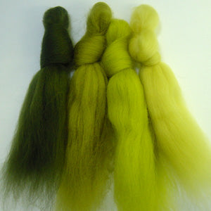 Gardeners World Merino Wool Tops Inspiration Pack for Felting & Spinning