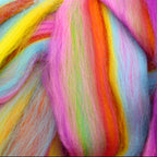 Phantasmagorical House Blend wool tops for felting 100g